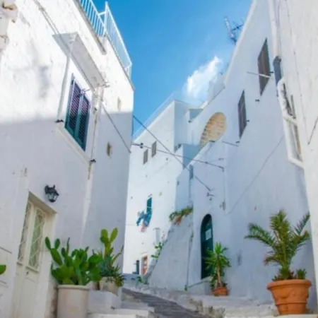 아파트 La Dimora Dei Sogni 미사니아